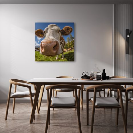 WANDBILD BLICK DER KUH AUF DER WEIDE - WANDBILDER BÜFFEL UND KÜHE - BILDER