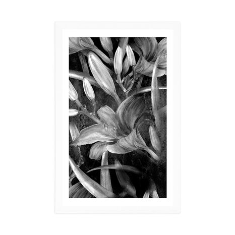 POSTER – FIORITURA DI GIGLIO IN BIANCO E NERO - NERO E BIANCO - POSTER