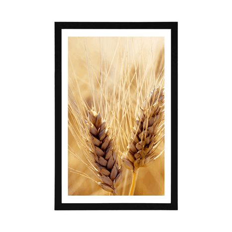 POSTER MIT PASSEPARTOUT WEIZENFELD - NATUR - POSTER