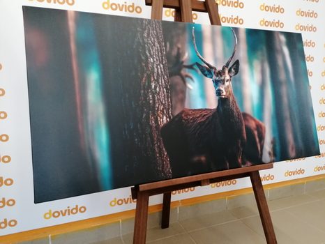 TABLOU CERB ÎN PĂDURE - TABLOURI ANIMALE - TABLOURI