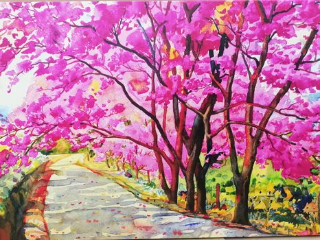 TABLOU CIREȘI DIN HIMALAYA - TABLOU NATURĂ ȘI PEISAJE NATURALE - TABLOURI