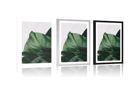 PLAKAT S PASPARTUOM OČARAVAJUĆI LIST MONSTERE - CVIJEĆE - PLAKATI