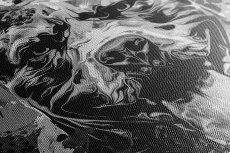 OBRAZ ILUSTRACE PSA V ČERNOBÍLÉM PROVEDENÍ - ČERNOBÍLÉ OBRAZY - OBRAZY