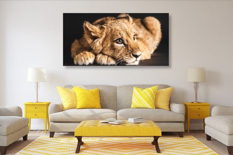 SLIKA LEVJI MLADIČ - SLIKE ŽIVALI - SLIKE