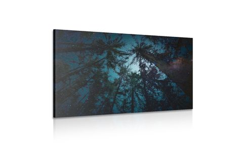 KÉP ÉJ AZ ERDŐBEN - ERDŐT ÁBRÁZOLÓ KÉPEK - KÉPEK