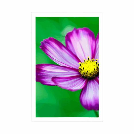 POSTER GARTENBLUME SCHMUCKKÖRBCHEN - BLUMEN - POSTER