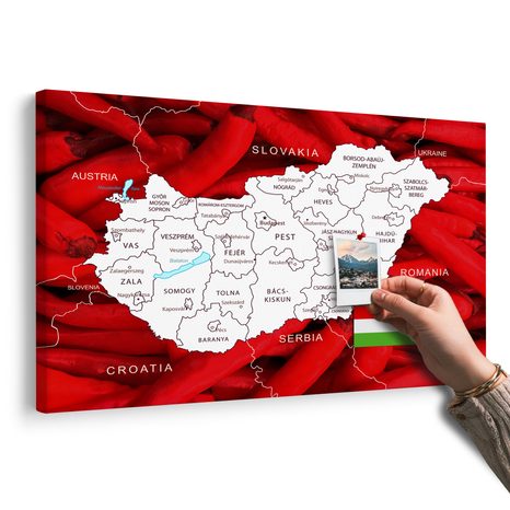 QUADRO IN SUGHERO – MAPPA DELL'UNGHERIA CON SFONDO TIPICO - QUADRI SU SUGHERO - STAMPE E QUADRI