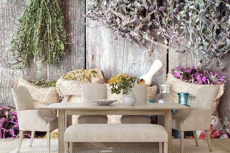 FOTOTAPETA LÉČIVÉ BYLINKY - TAPETY JÍDLA A NÁPOJE - TAPETY