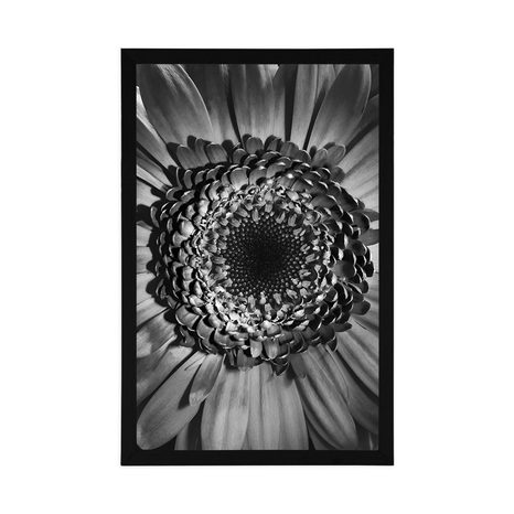 AFFICHE – GERBERA EN NOIR ET BLANC - NOIR ET BLANC - AFFICHES