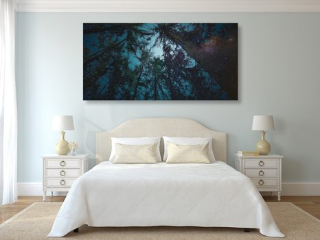OBRAZ LES POD NOČNÍ OBLOHOU - OBRAZY STROMY A LISTY - OBRAZY