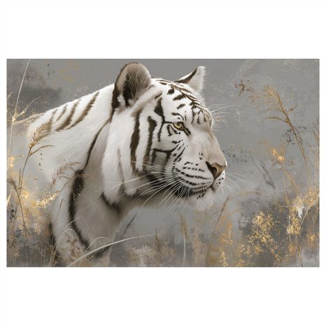 OBRAZ BÍLÝ TYGR V TRÁVĚ - OBRAZY LVI A TYGŘI - OBRAZY