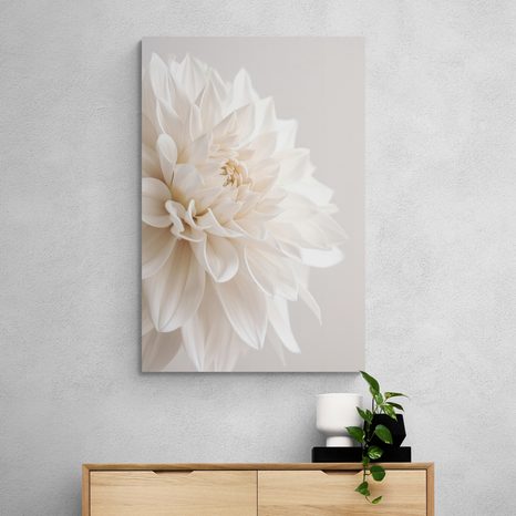 WANDBILD WEISSE BLÜTENBLÄTTER - BILDER BLUMEN - BILDER