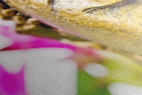 KÉP ARANY BUDDHA ARC - FENG SHUI KÉPEK - KÉPEK