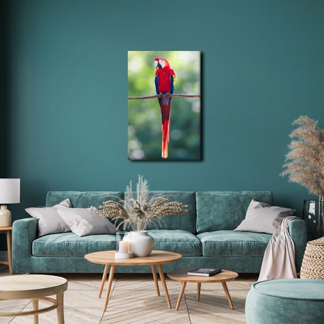 OBRAZ JASNĚ ČERVENÝ PAPOUŠEK NA VĚTVI - OBRAZY PTÁCI - OBRAZY