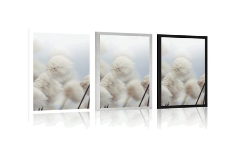 PLAGÁT ARKTICKÉ KVETY BAVLNY - KVETY - PLAGÁTY