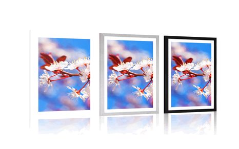 PLAGÁT S PASPARTOU ČEREŠŇOVÝ KVET - KVETY - PLAGÁTY