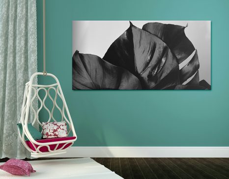 OBRAZ ČIERNOBIELY LIST MONSTERY - ČIERNOBIELE OBRAZY - OBRAZY