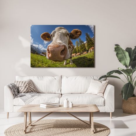 OBRAZ KRÁVA V HORSKÉ PŘÍRODĚ - OBRAZY BUVOLI A KRÁVY - OBRAZY