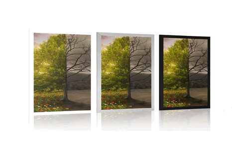 PLAKAT DVA OBLIKA STABLA - PRIRODA - PLAKATI