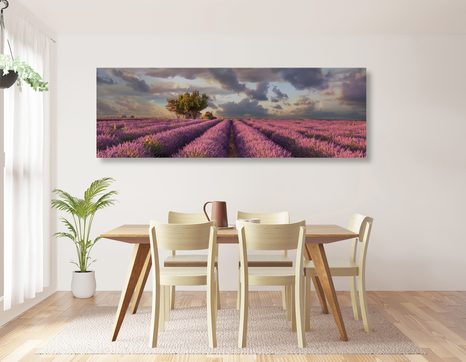 OBRAZ ZEMĚ LEVANDULOVÝCH POLÍ - OBRAZY PŘÍRODY A KRAJINY - OBRAZY