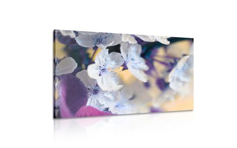 OBRAZ KWITNĄCA GAŁĄZKA WIŚNI - OBRAZY - 🔥 TOTALNA WYPRZEDAŻ