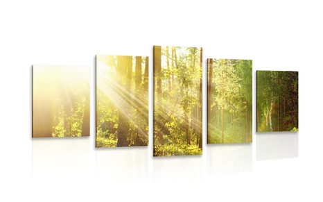 QUADRO IN 5 PARTI RAGGI DI SOLE NELLA FORESTA - QUADRI DI NATURA E PAESAGGIO - QUADRI