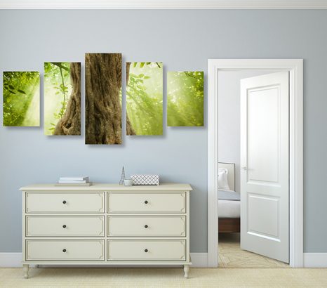 КАРТИНИ ОТ 5 ЧАСТИ – КОРЕН НА ДЪРВО - КАРТИНИ НА ПРИРОДАТА И ПЕЙЗАЖИ - КАРТИНИ