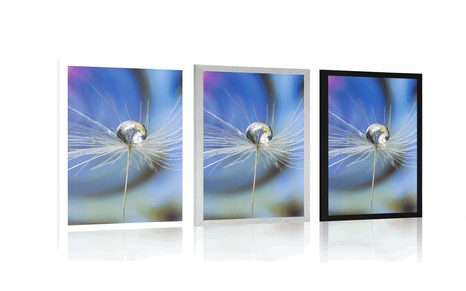 PLAGÁT KVAPKA ROSY NA FAREBNOM POZADÍ - KVETY - PLAGÁTY