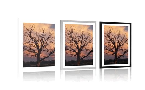 PLAKAT S PASPARTUOM PREKRASNO STABLO NA LIVADI - PRIRODA - PLAKATI