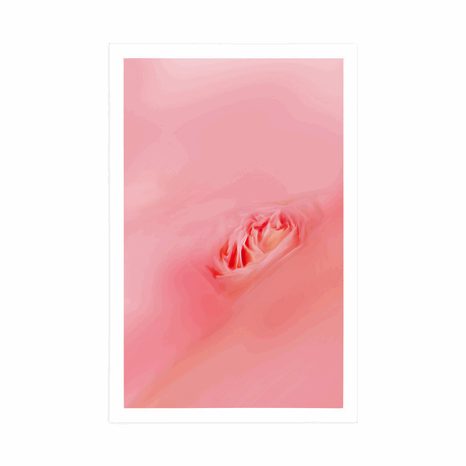 POSTER IN DER UMARMUNG VON ROSA - MOTIVE AUS UNSERER WERKSTATT - POSTER