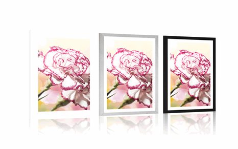 PLAGÁT S PASPARTOU ELEGANTNÝ KARAFIÁT - KVETY - PLAGÁTY