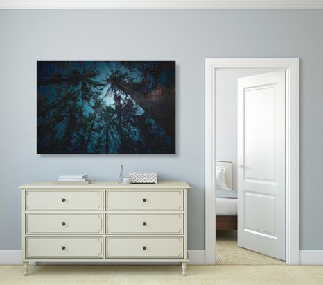 KÉP ÉJ AZ ERDŐBEN - ERDŐT ÁBRÁZOLÓ KÉPEK - KÉPEK