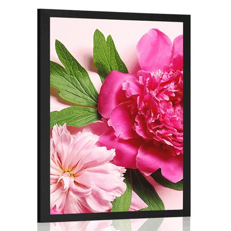 POSTER PINK PEONY - FLOWERS - POSTERS