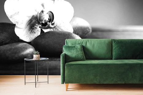 SAMOLEPÍCÍ FOTOTAPETA ČERNOBÍLÁ ORCHIDEJ A KAMENY - SAMOLEPÍCÍ TAPETY - TAPETY