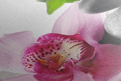 OBRAZ HARMONICKÉ ZEN ZÁTIŠÍ - OBRAZY FENG SHUI - OBRAZY