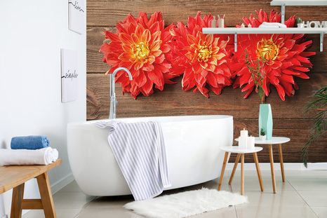 FOTOTAPETA KVĚTINY DÁLIE NA DŘEVĚ - TAPETY KVĚTINY - TAPETY