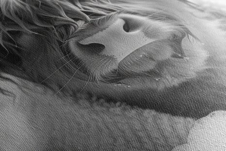 KÉP TEHÉN A FÜRDŐKÁDBAN - KÉPEK BIVALYOK ÉS TEHENEK - KÉPEK