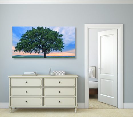 TABLOU STEJAR SINGURATIC - TABLOU NATURĂ ȘI PEISAJE NATURALE - TABLOURI