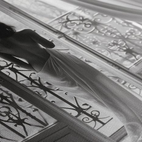 OBRAZ SAMETOVÉ RÁNO U OKNA - OBRAZY ŽENY - OBRAZY