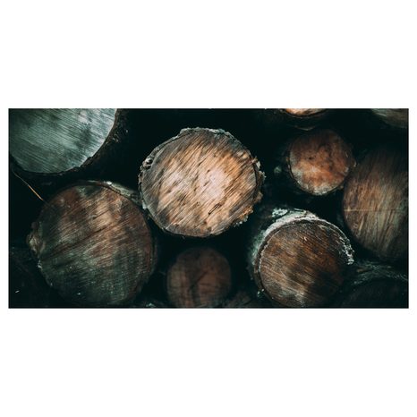 QUADRO SU TELA – TEXTURE NATURALE DEL LEGNO - QUADRI ALBERI E FOGLIE - STAMPE E QUADRI