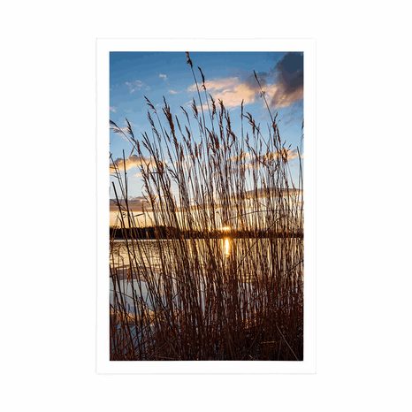 POSTER CALM RIVER NEAR THE VILLAGE - NATURE - POSTERS