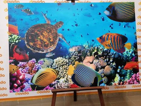 STAMPA SU TELA – MONDO SOTTOMARINO - QADRI DI ANIMALI MARINI - STAMPE E QUADRI