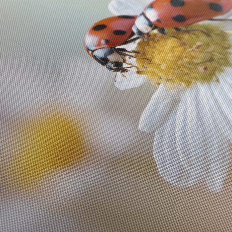 WANDBILD LEBENDIGE NATUR - BILDER TIERE - BILDER