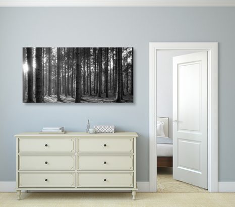 SLIKA JUTRO U ŠUMI U CRNO-BIJELOM DIZAJNU - CRNO-BIJELE SLIKE - SLIKE