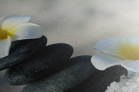 ΕΙΚΌΝΑ ΑΠΌ ΑΡΜΟΝΙΚΈΣ ΠΈΤΡΕΣ ΚΑΙ ΛΟΥΛΟΎΔΙ PLUMERIA - ΠΊΝΑΚΕΣ ΦΕΝΓΚ ΣΟΎΙ - ΠΊΝΑΚΕΣ