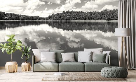 FOTOTAPETA ČERNOBÍLÉ JEZERO V LÉTĚ - ČERNOBÍLÉ TAPETY - TAPETY