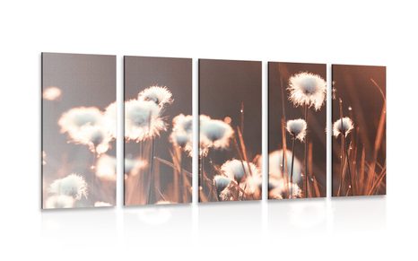 5-PIECE CANVAS PRINT COTTON GRASS - PICTURES OF NATURE AND LANDSCAPE - PICTURES