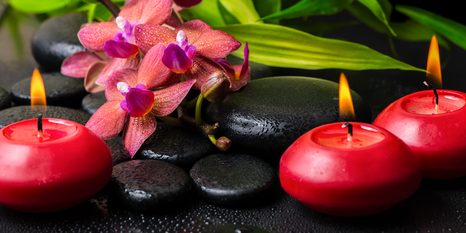 КАРТИНА НА ПЛАТНО – УСПОКОЯВАЩ ЗЕН НАТЮРМОРТ - ФЪН ШУЙ КАРТИНИ - КАРТИНИ