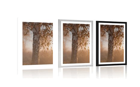 PLAKÁT S PASPARTOU MLHAVÝ PODZIMNÍ LES - PŘÍRODA - PLAKÁTY