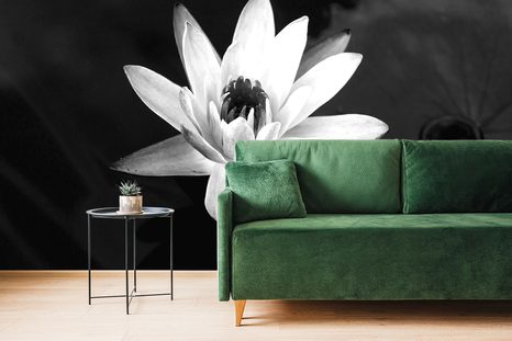 TAPETA ČERNOBÍLÉ LEKNÍN - ČERNOBÍLÉ TAPETY - TAPETY